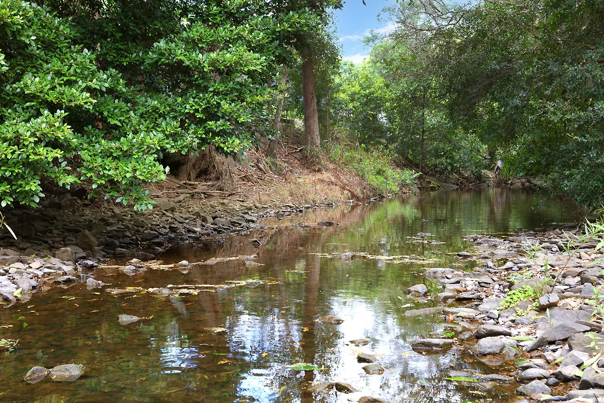 Image 15