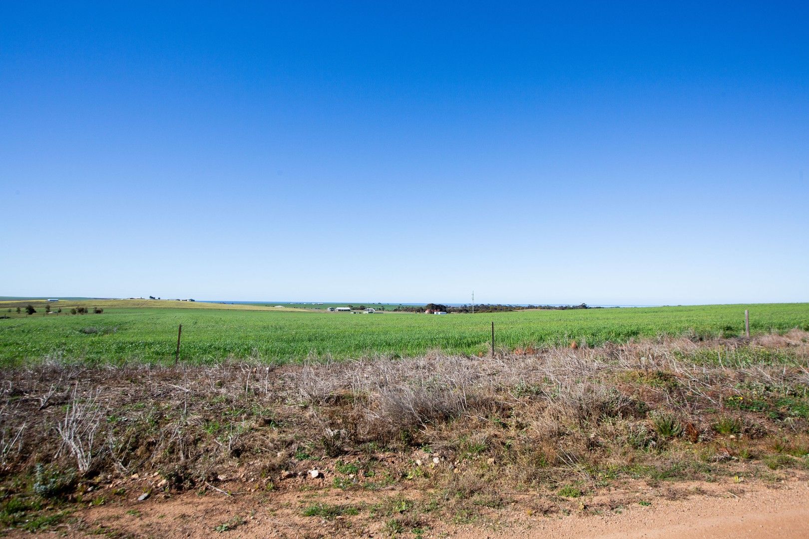 295 Yarandale Road, Lipson SA 5607, Image 0