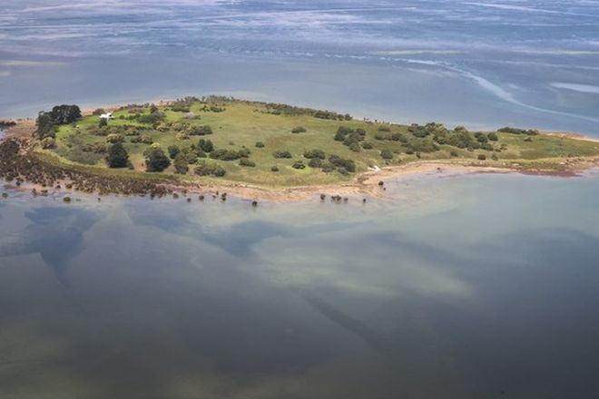 Picture of Sandstone Island, HASTINGS VIC 3915