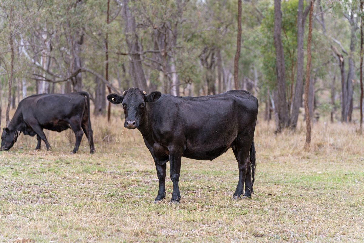 90 Sobbe Road, Sandy Camp QLD 4361, Image 2