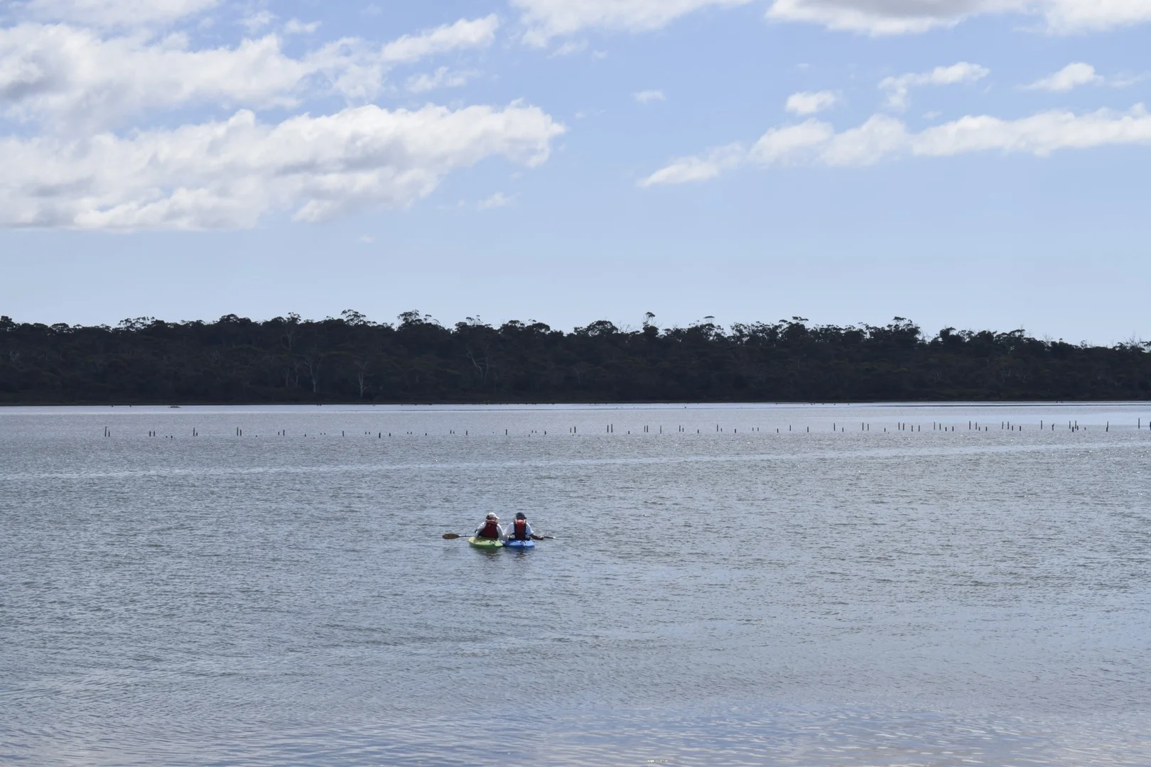 Image 13