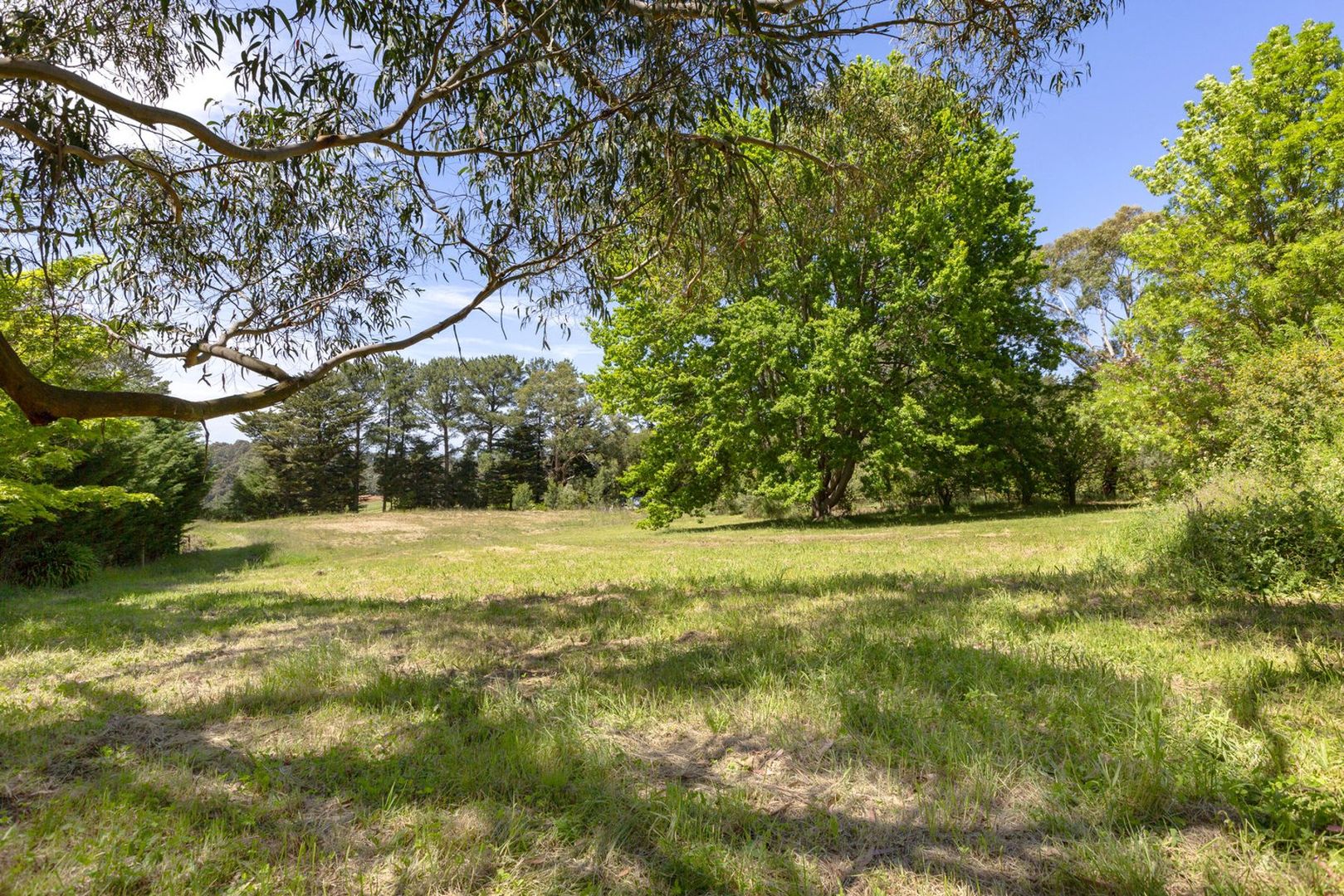 231 Red Hill Road, Red Hill VIC 3937, Image 2