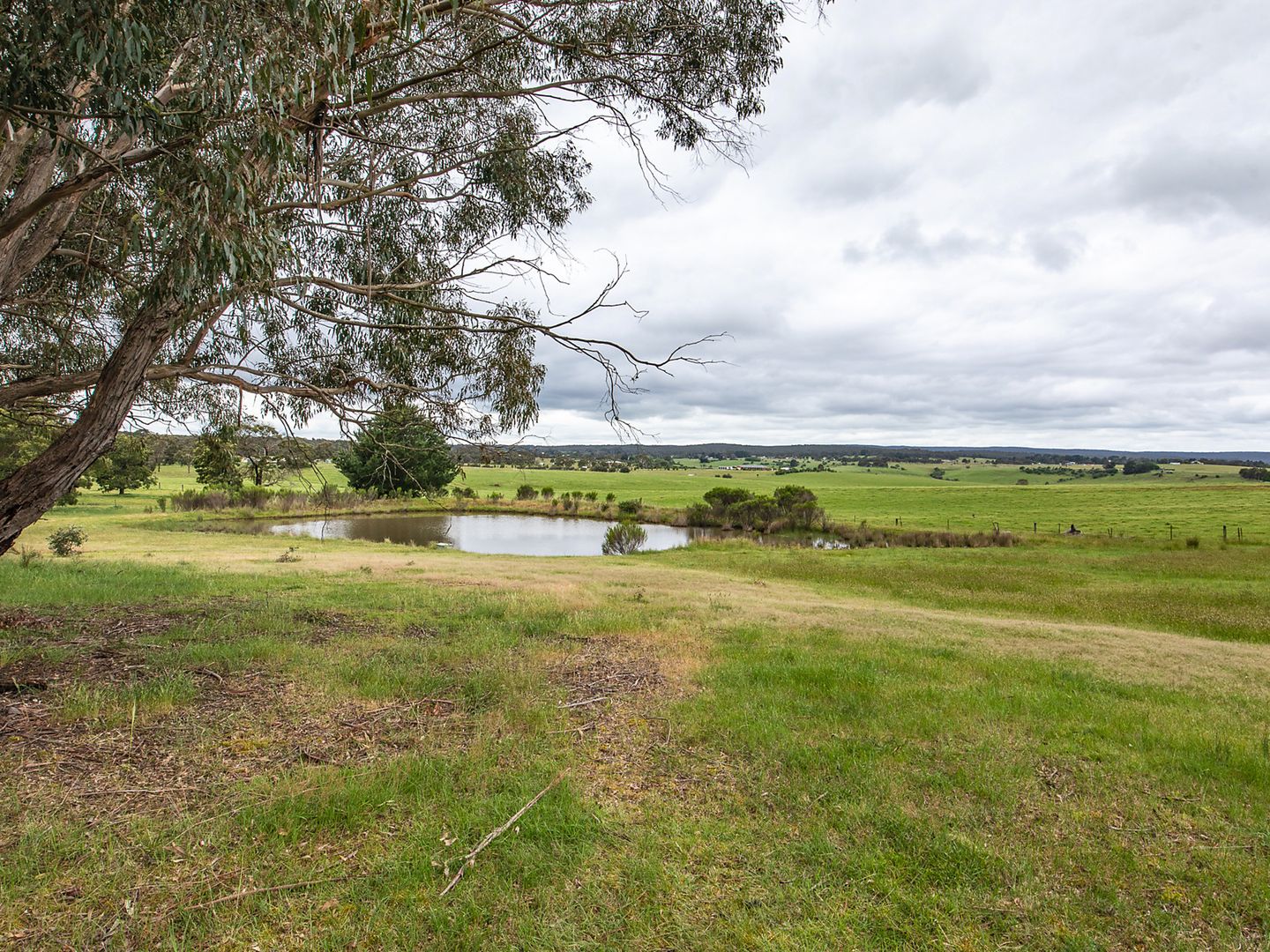 67 Pre-Emptive Drive, Scarsdale VIC 3351, Image 1