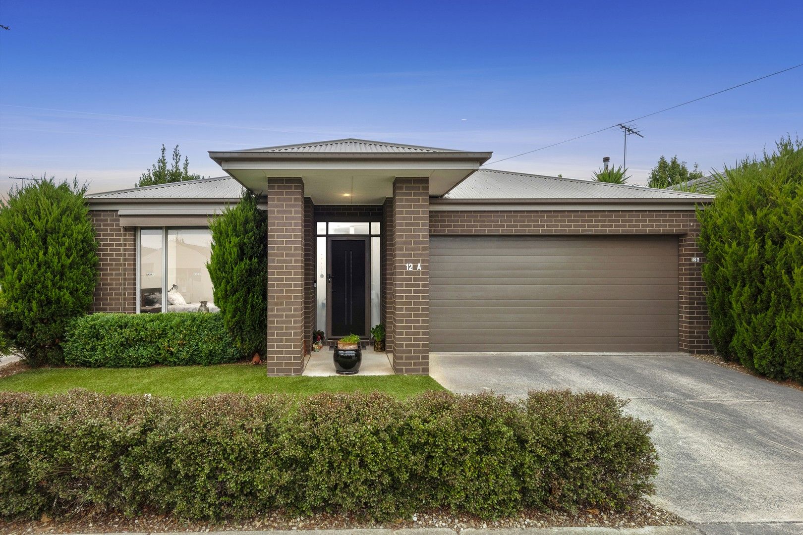 12A Knight Avenue, Herne Hill VIC 3218, Image 0