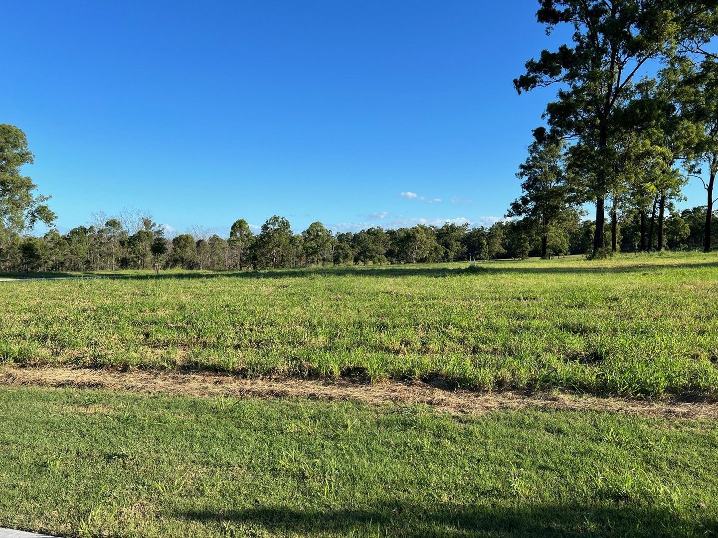 New Beith QLD 4124, Image 0