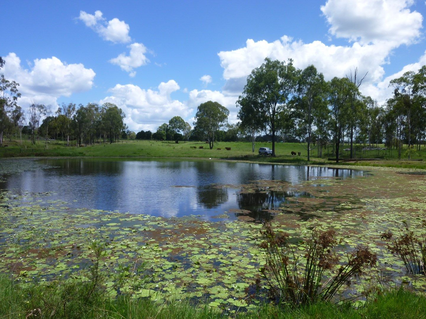 Lot 2 HAYLOCKS ROAD, Pine Creek QLD 4670, Image 0