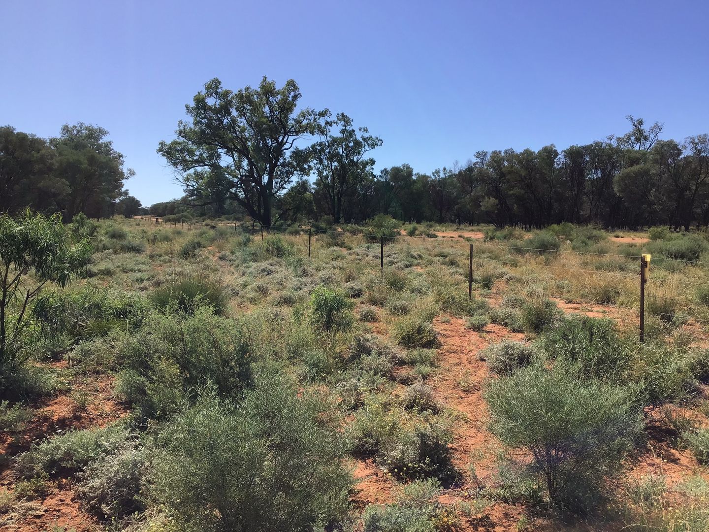7090 Linden Nebine Road, Cunnamulla QLD 4490 House for Sale 3,971,000