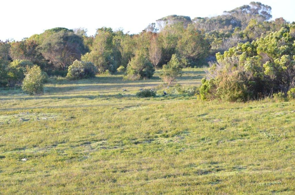 Lot 6 Douglas Dawson Track, Robe SA 5276, Image 1