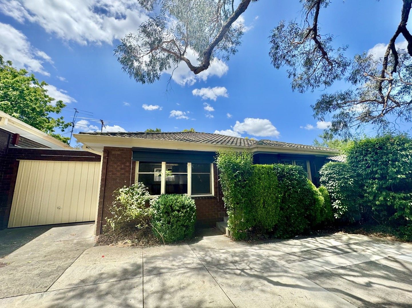 2 bedrooms Apartment / Unit / Flat in 3/105 Albion Rd BOX HILL VIC, 3128