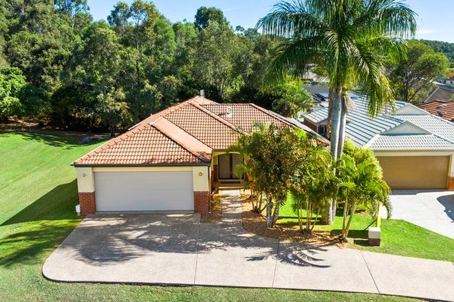 Picture of 31 Vivacity Drive, UPPER COOMERA QLD 4209
