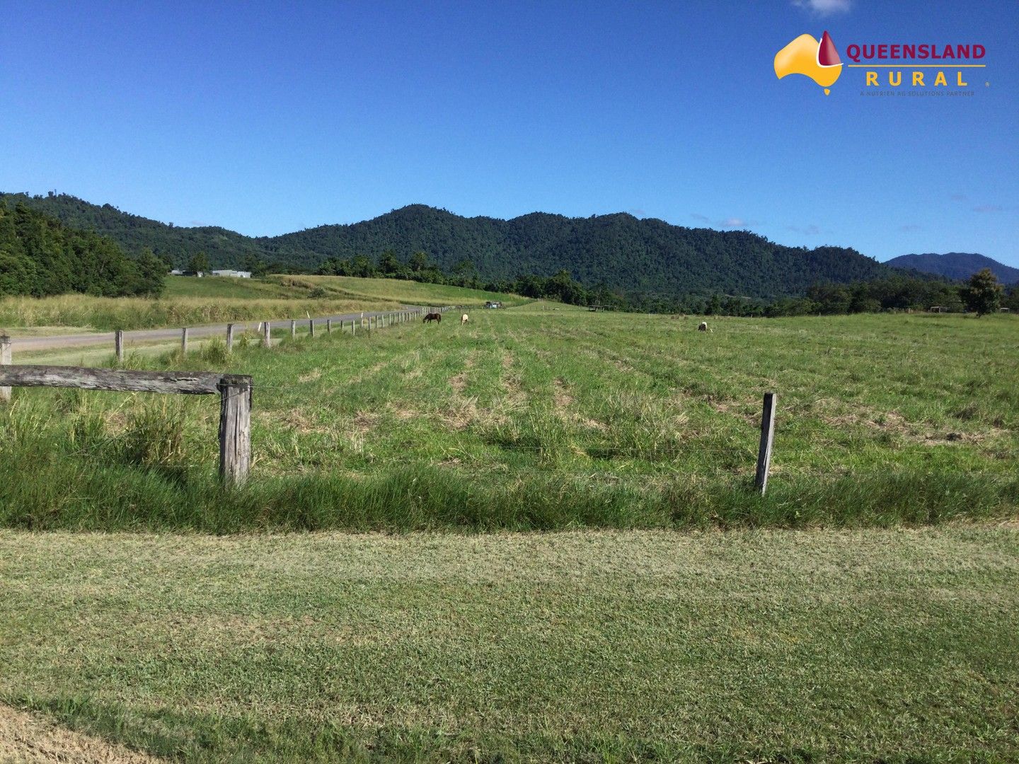 Seres Road, Mena Creek QLD 4871, Image 0