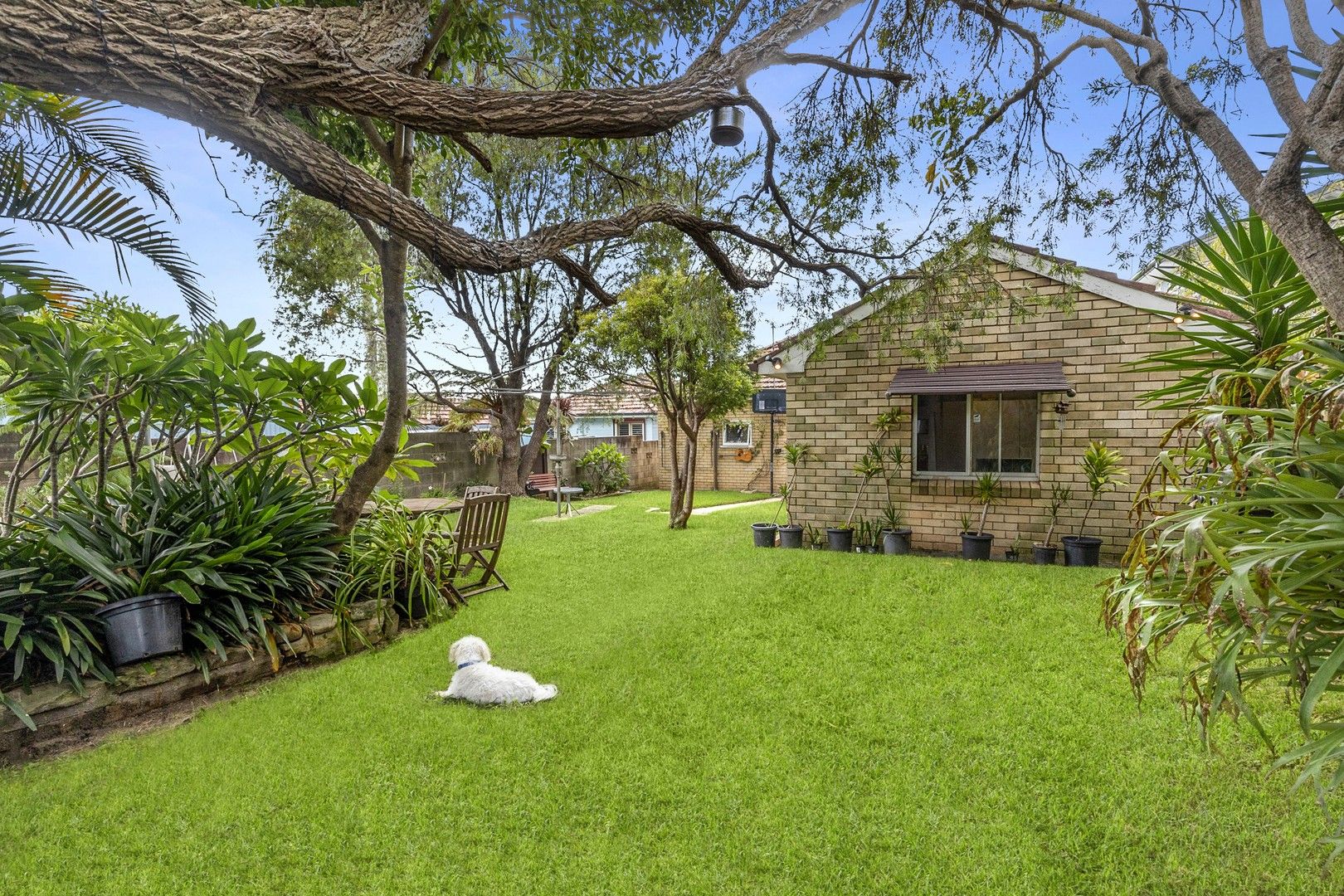 6 Nimbey Avenue, Narraweena NSW 2099, Image 0