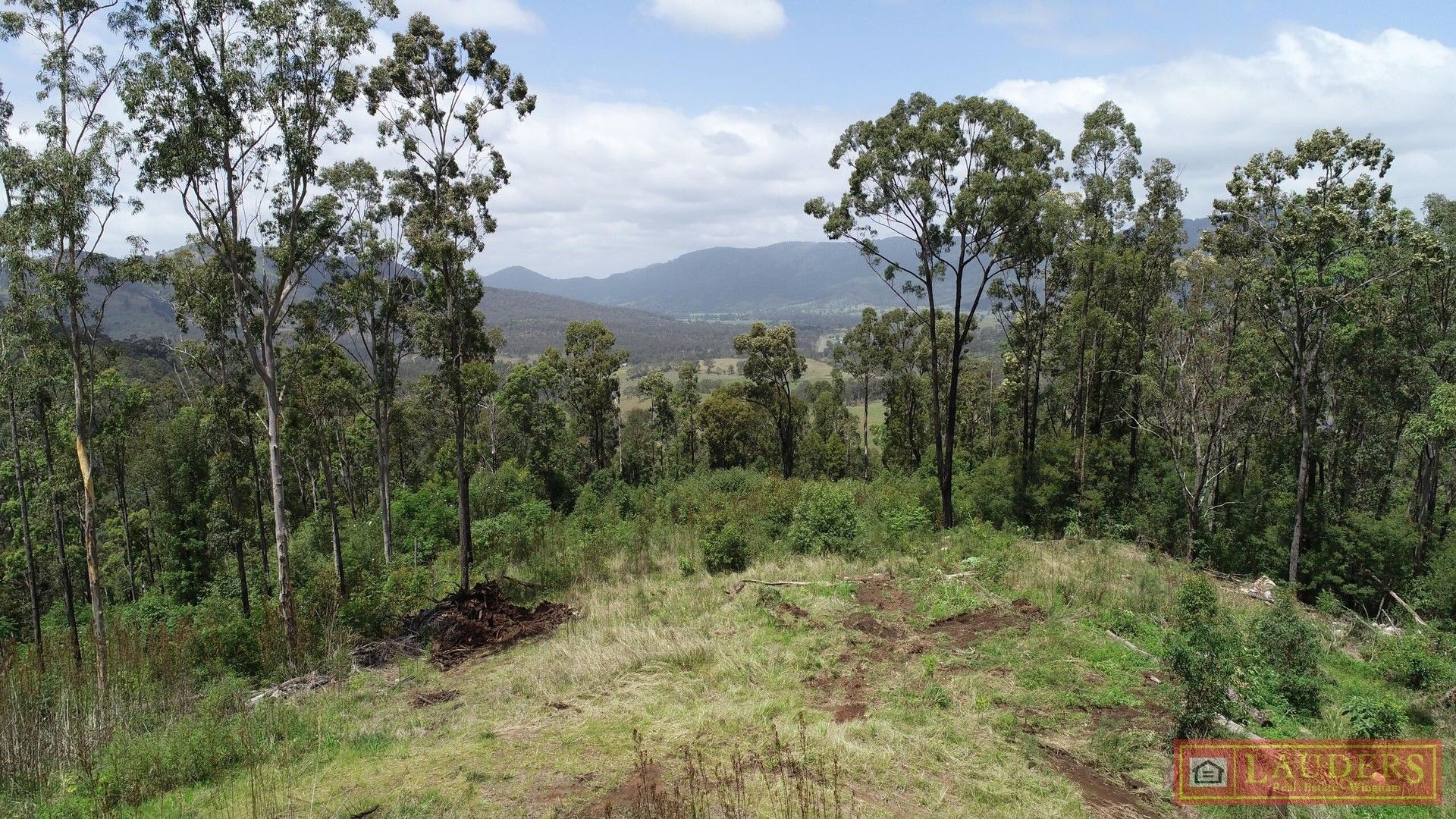 Rural in 173 Knodingbul Forest Road, MOUNT GEORGE NSW, 2424