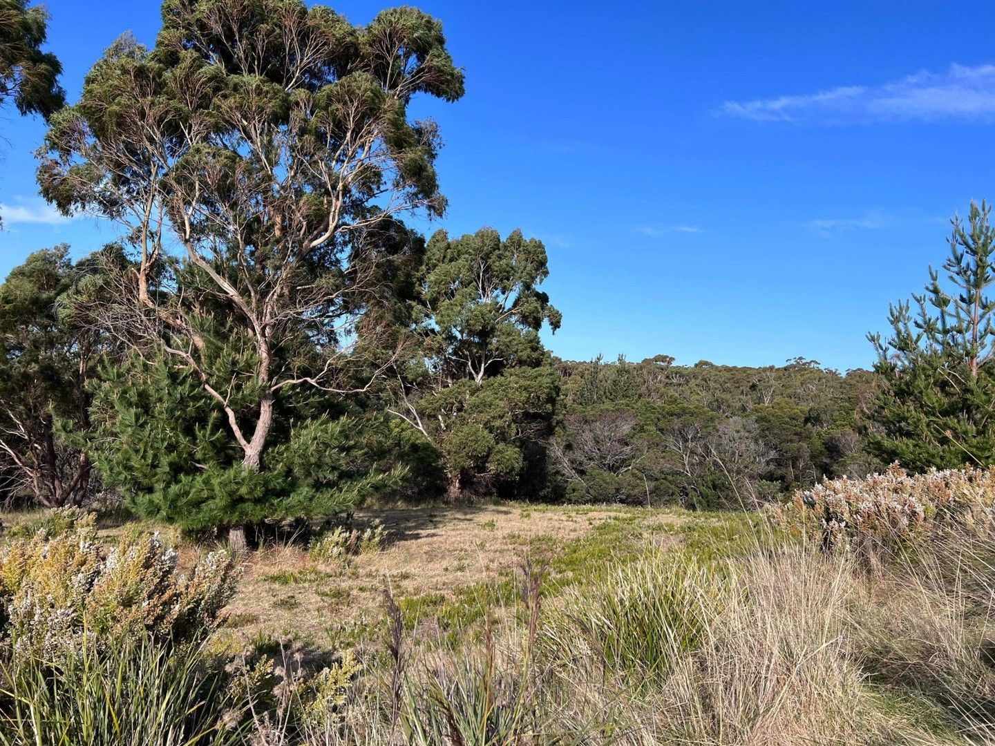 Vacant land in Lot 2 Oceanvista Drive, ST HELENS TAS, 7216