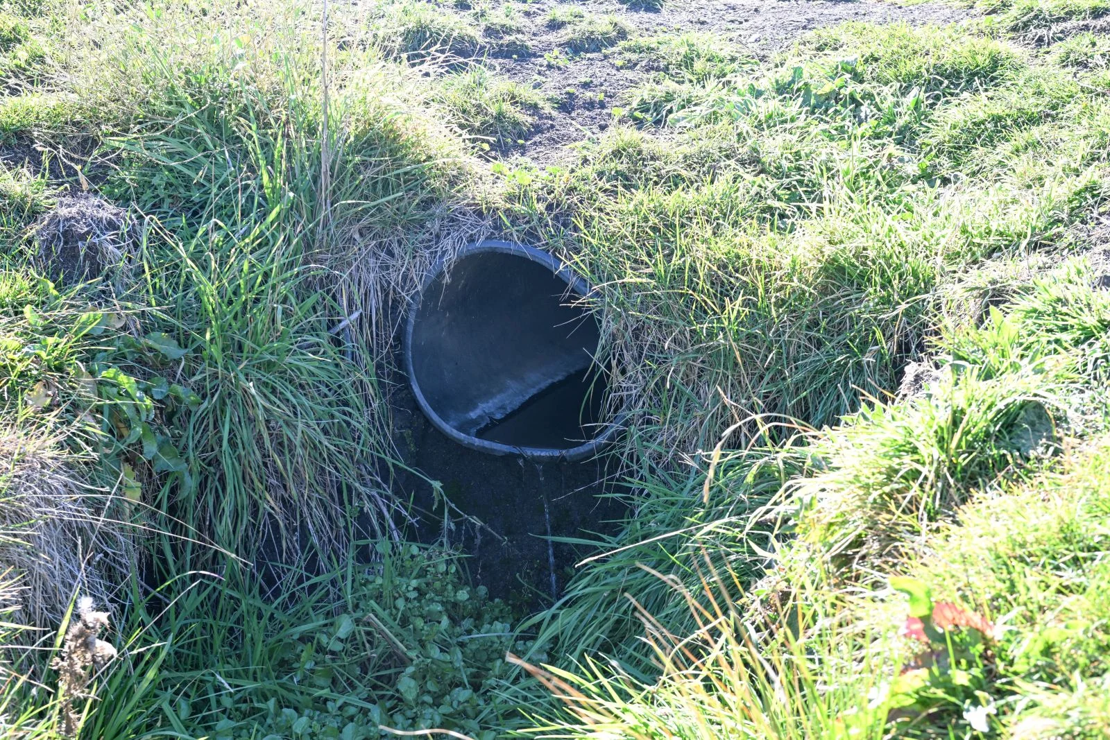 Image 27