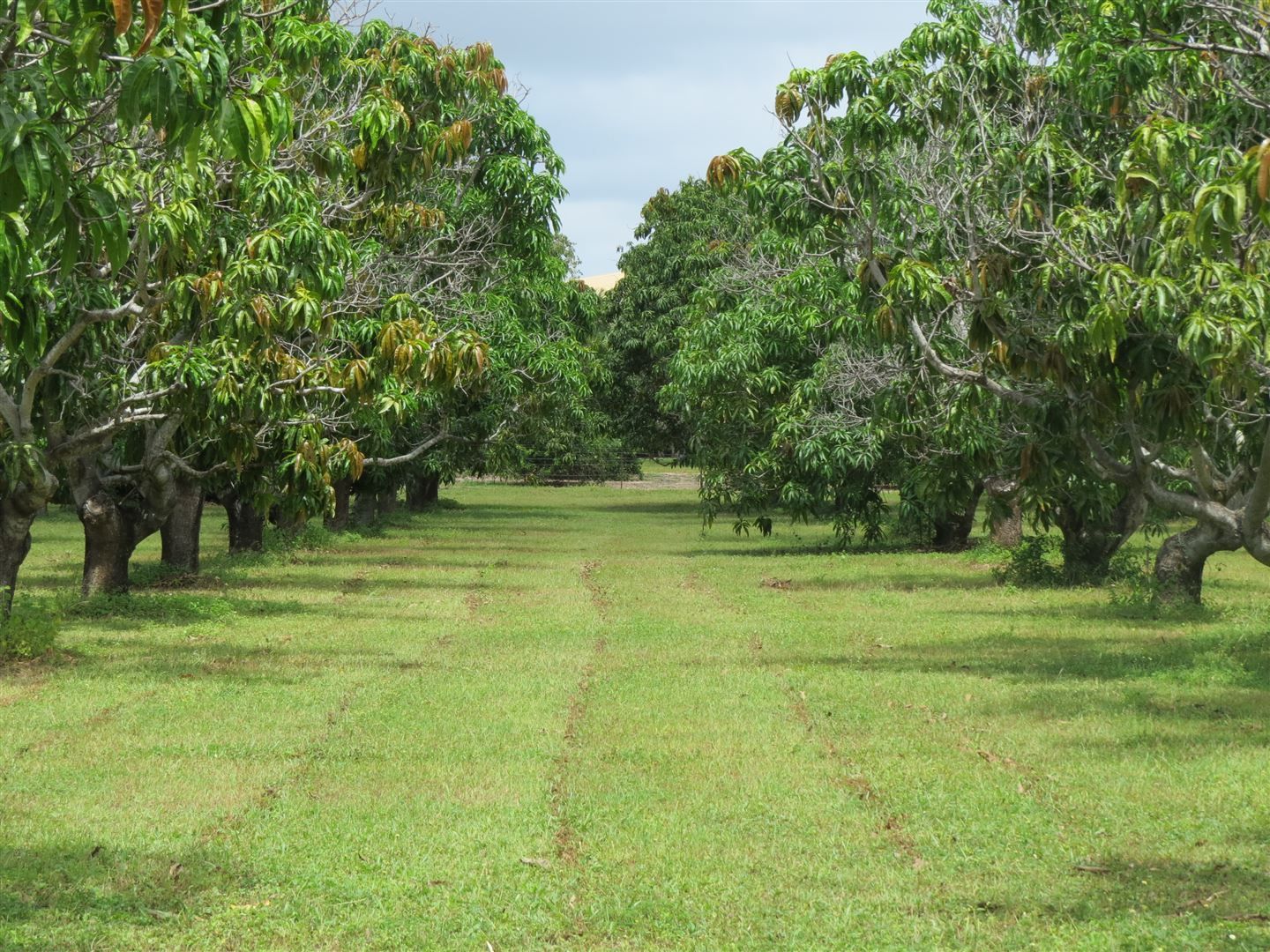 120 Mount Kelly Drive, Mount Kelly QLD 4807, Image 1