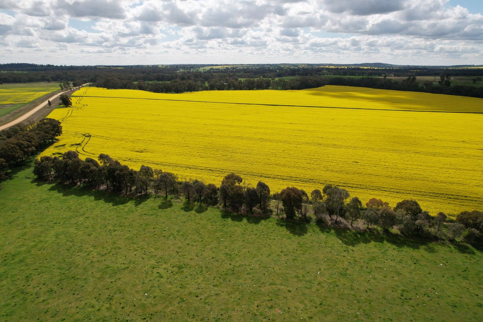 Penmans Corner of Cummings Road and Kings Bridge Road, Culcairn NSW