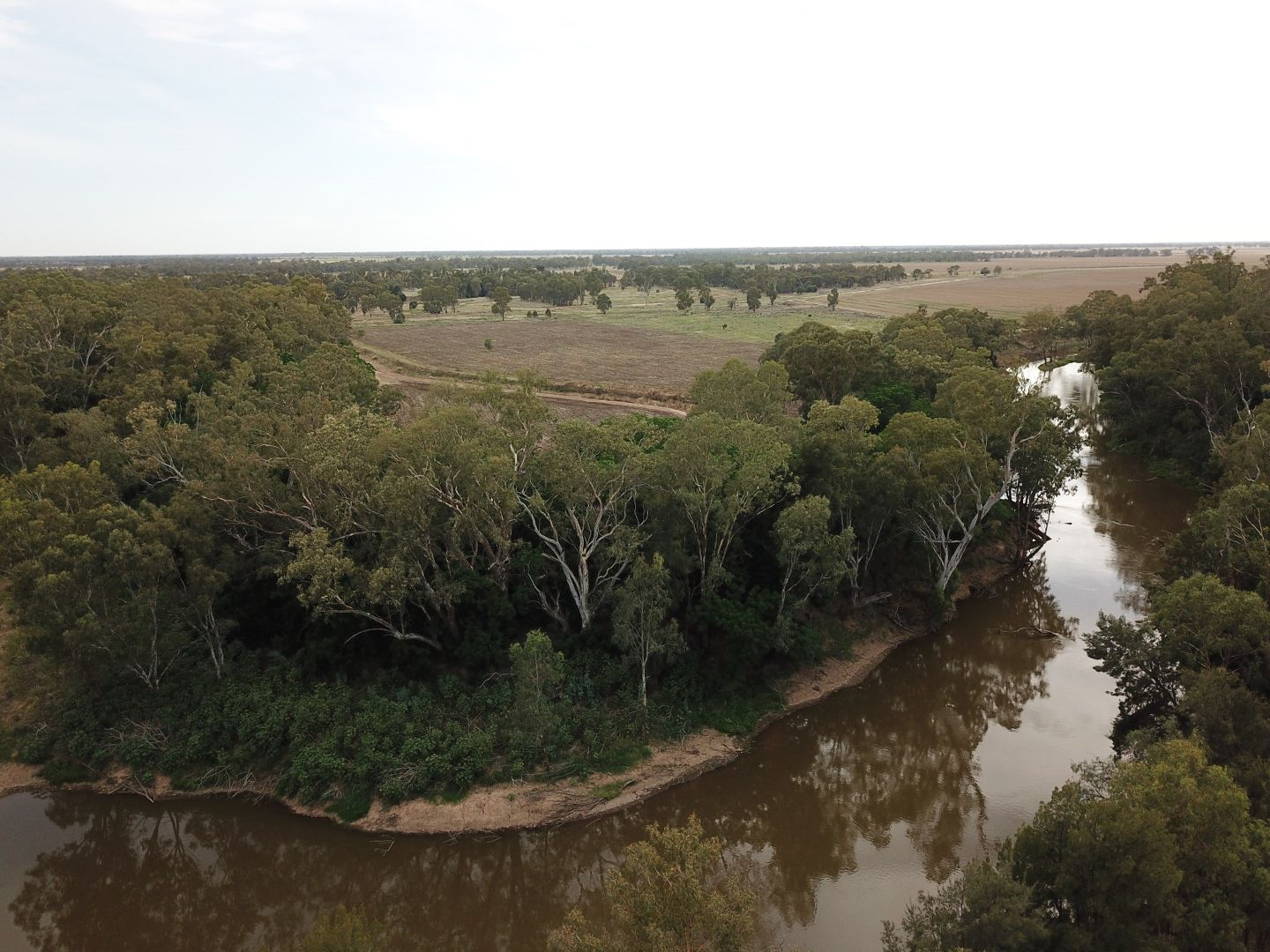 'Nangarah' 1975 Wambianna Road, Warren NSW 2824, Image 2