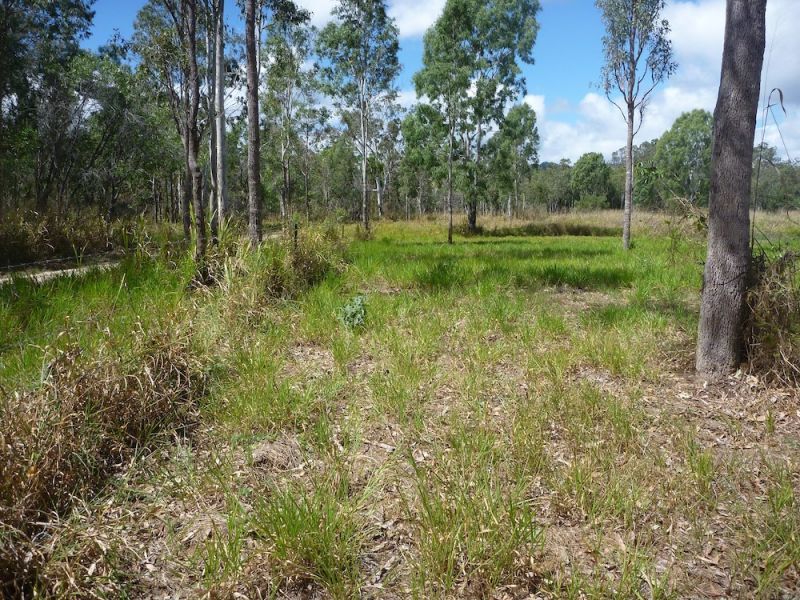 Lot 37 Wetherby Road, Mount Molloy QLD 4871, Image 0