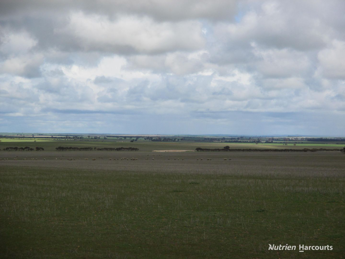 . Kulin Holt Rock Road, Pingaring WA 6357 - Specialist Farm for Sale