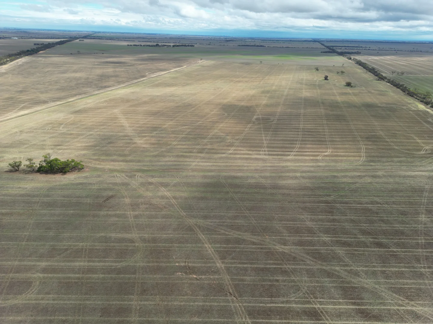 Additional image 3 of A2 Bute Road, Willamulka SA 5554