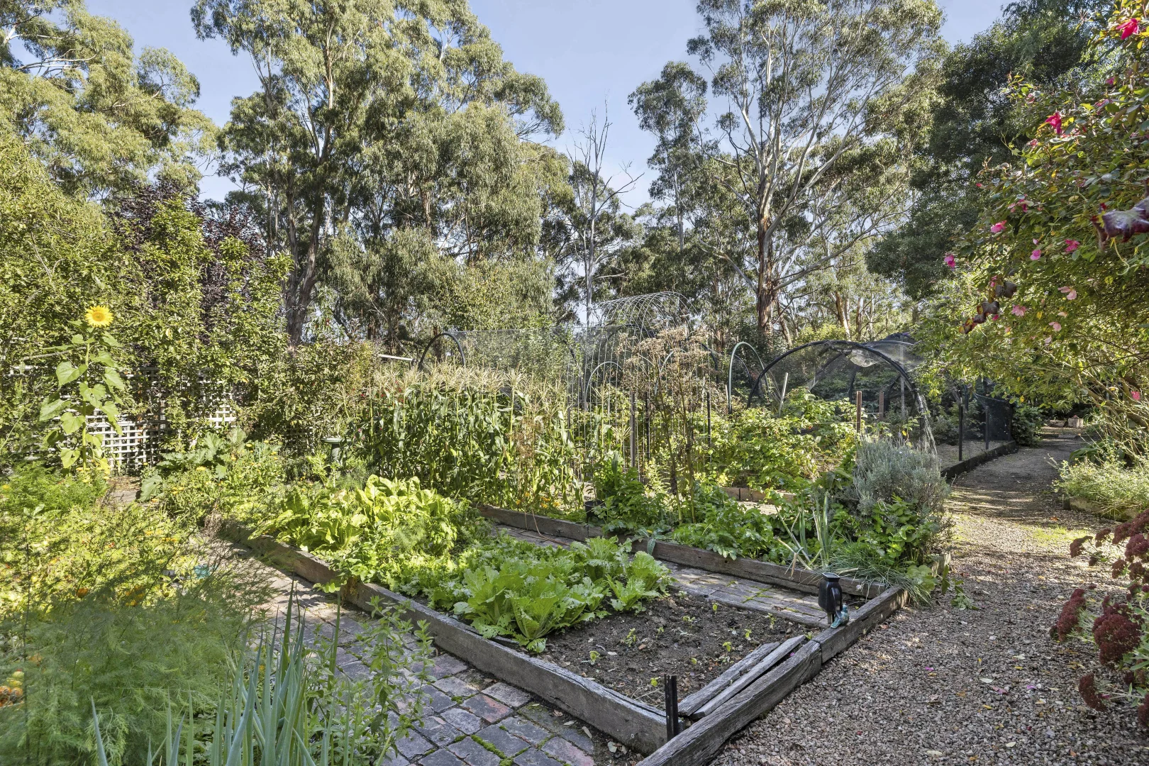 Additional image 24 of 24 Trewins Lane, Daylesford VIC 3460