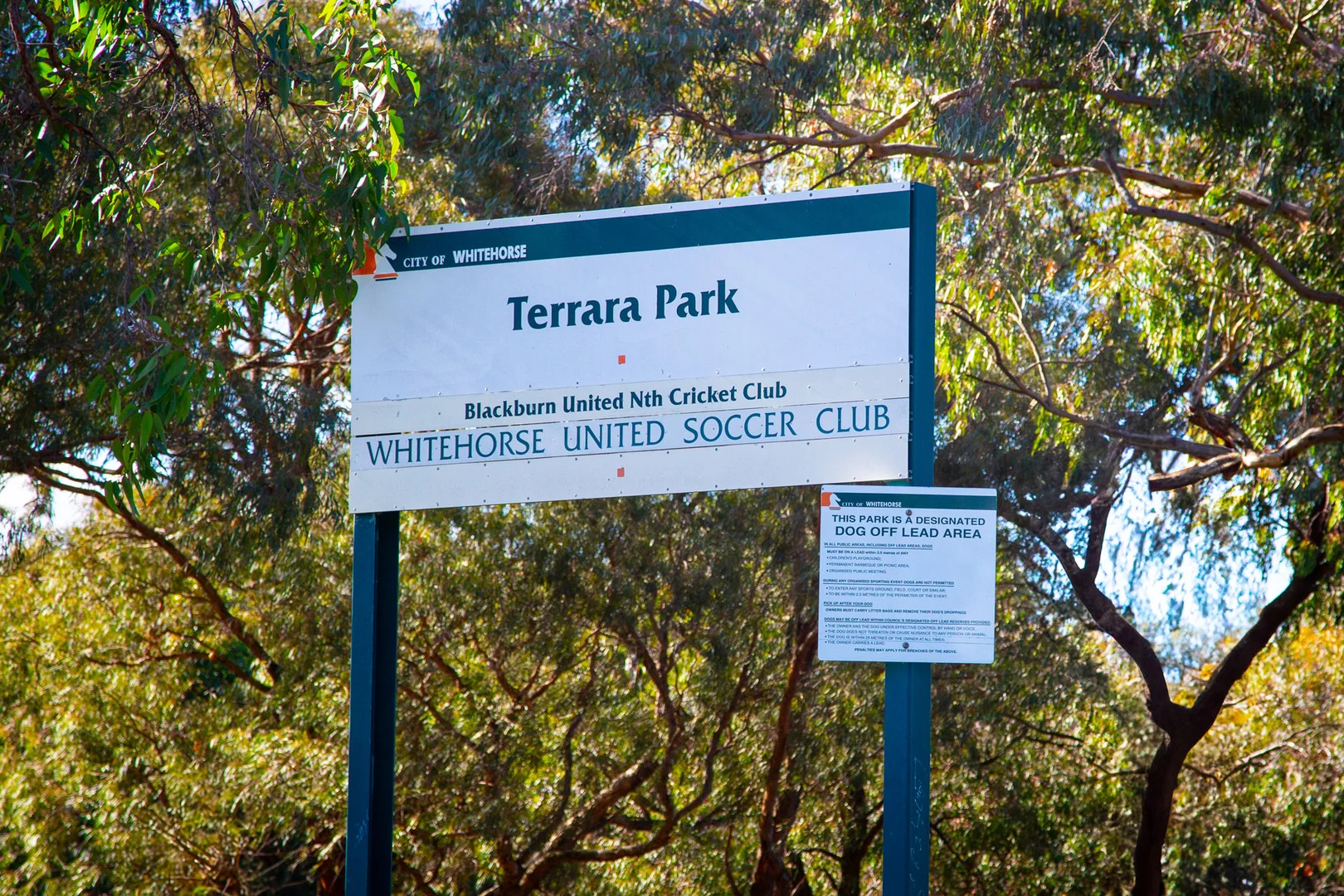 Additional image 21 of 173 Morack Road, Vermont South VIC 3133