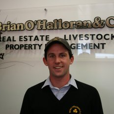 Brian O'Halloran & Co Real Estate