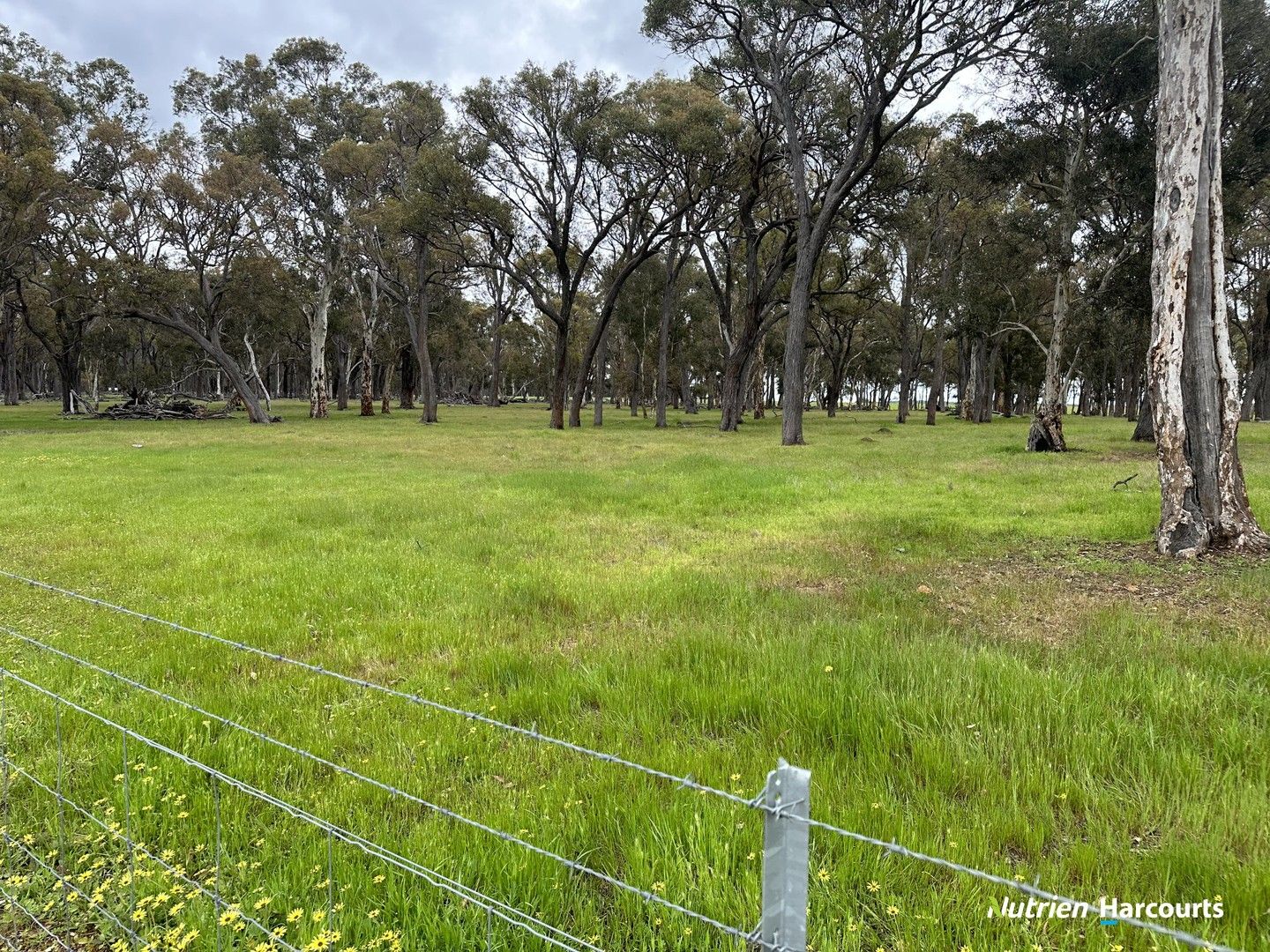 1055 Junction Road, Perup WA 6258, Image 1