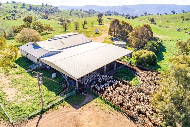 Picture of 635 Decca Road, BIGGA NSW 2583