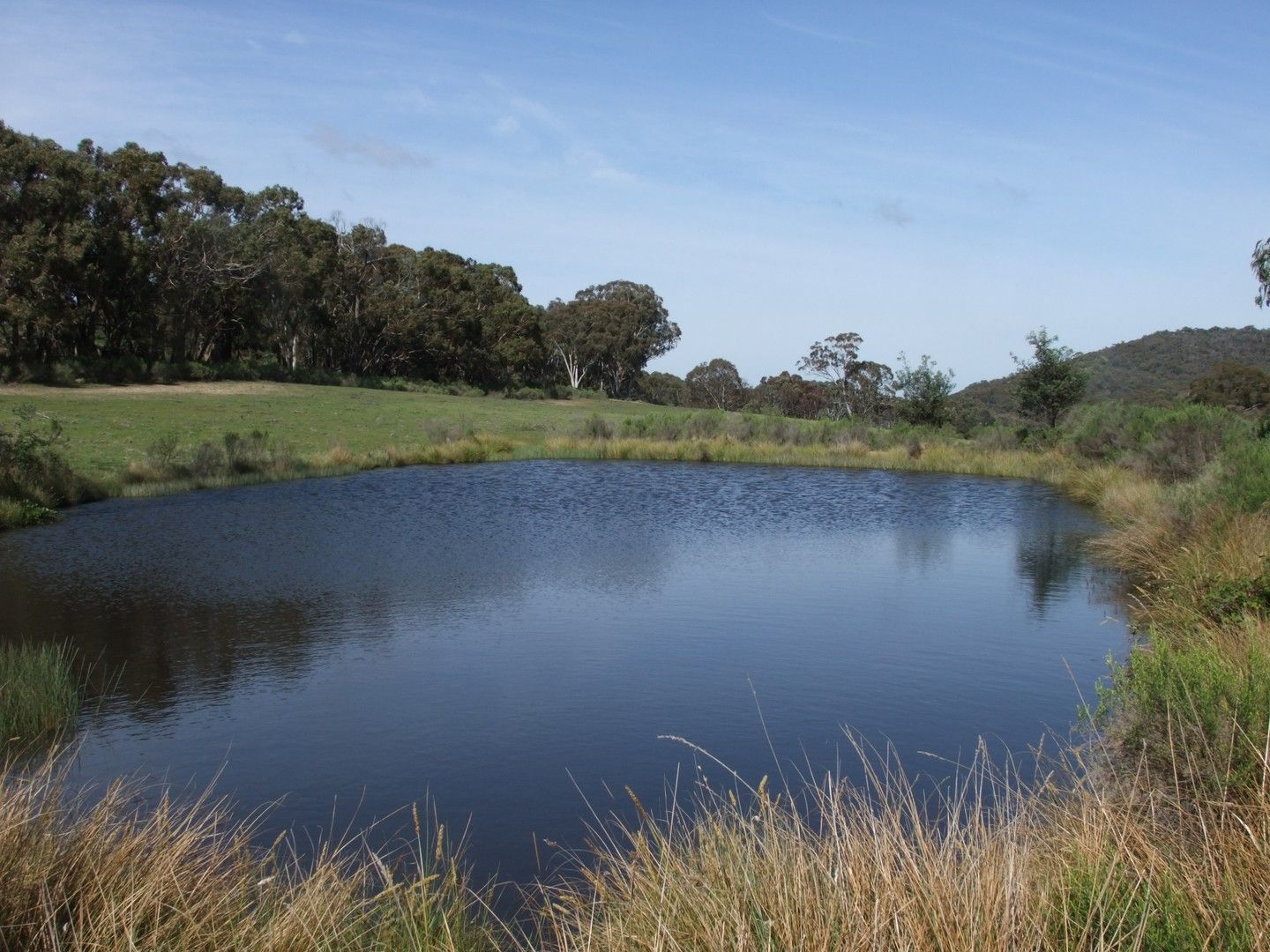 Part 692 Bald Ridge Road, Bald Ridge NSW 2795, Image 0