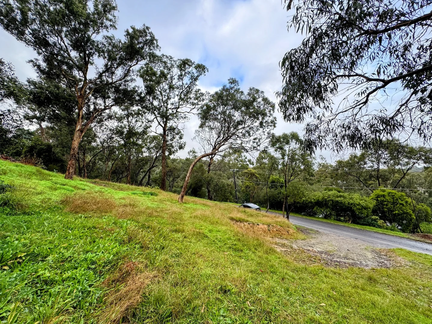Image 13