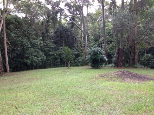 Image 17