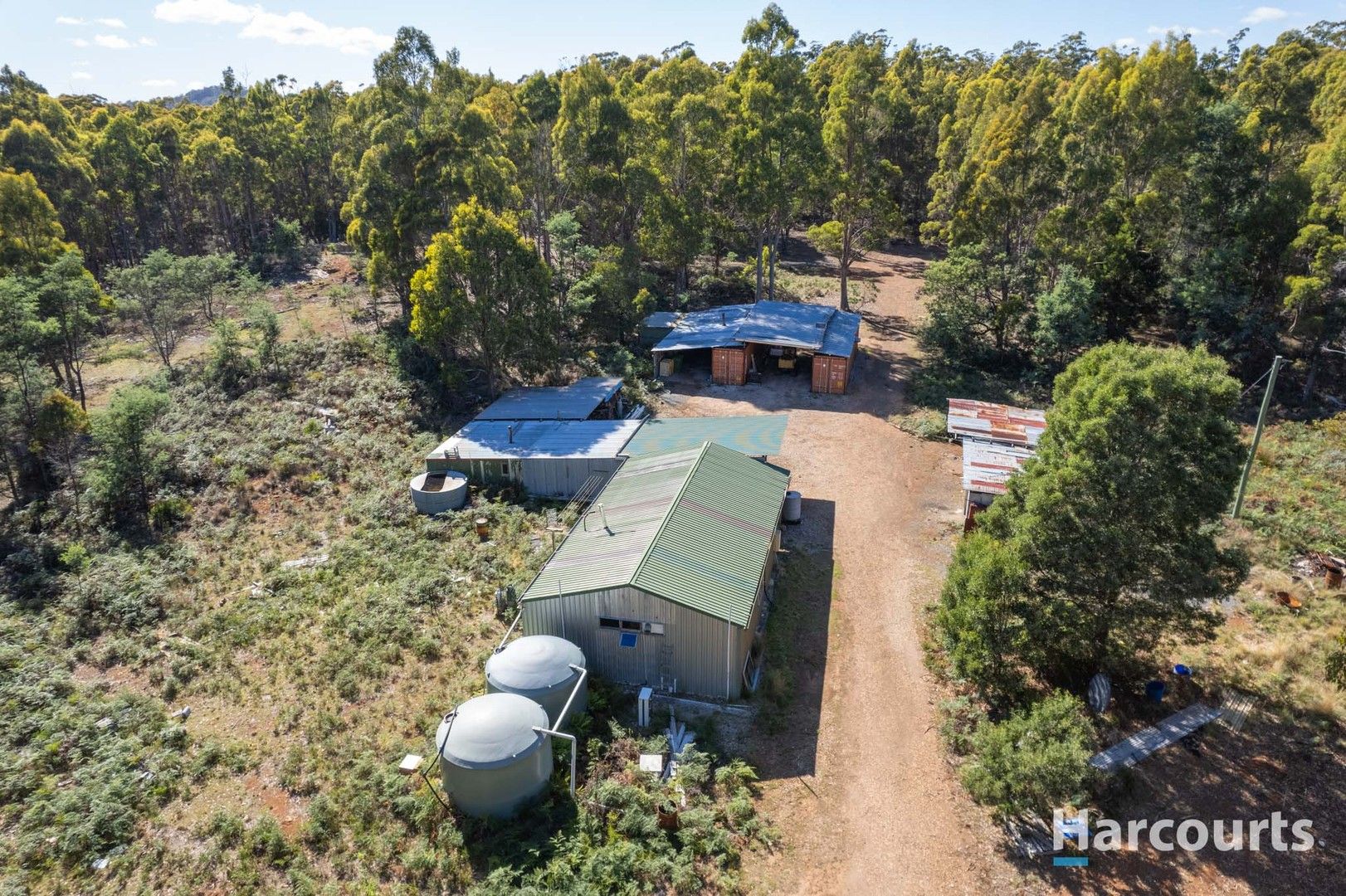 99 Silver Wattle Drive, Reedy Marsh TAS 7304, Image 0