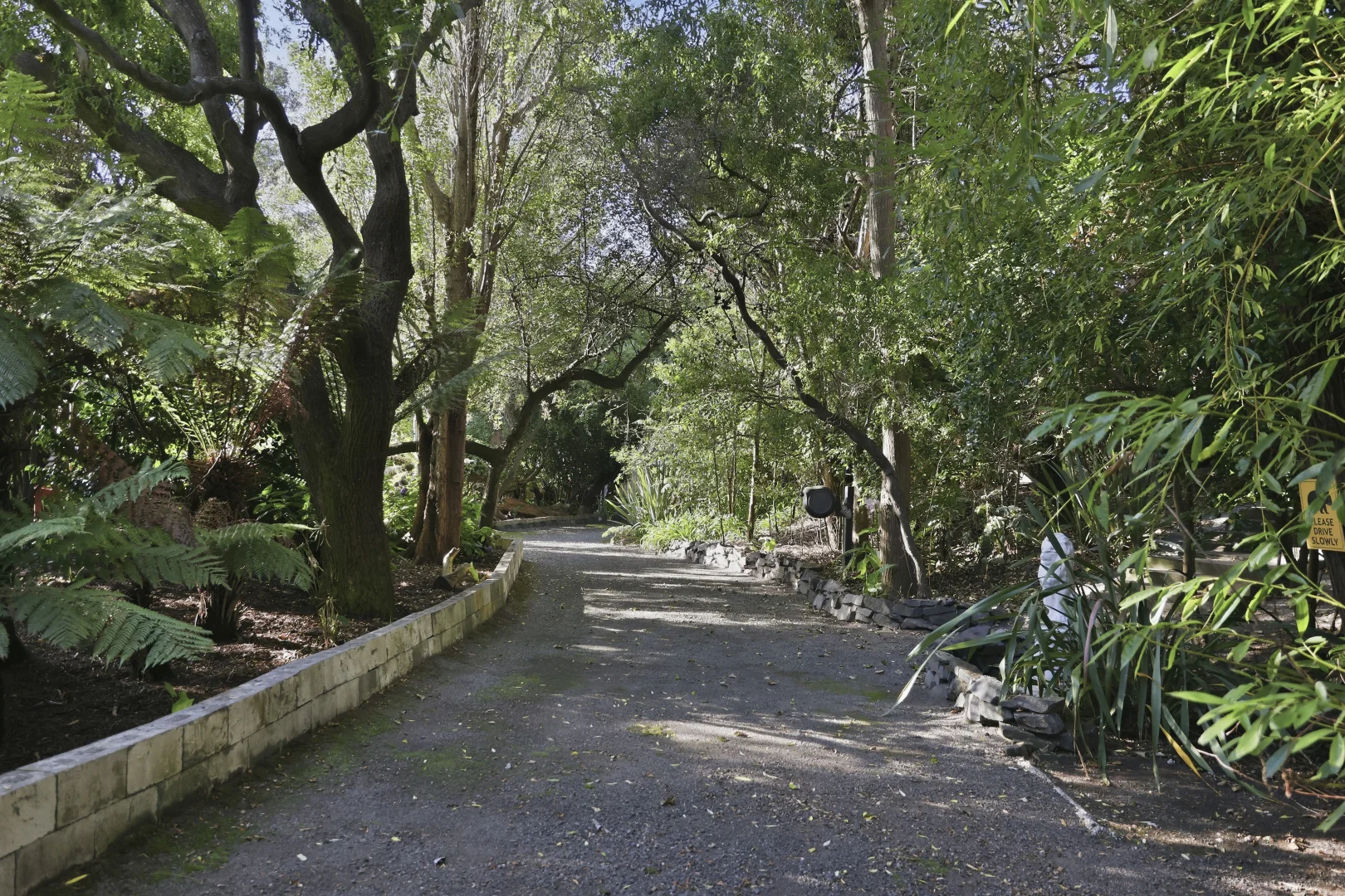 Image 13