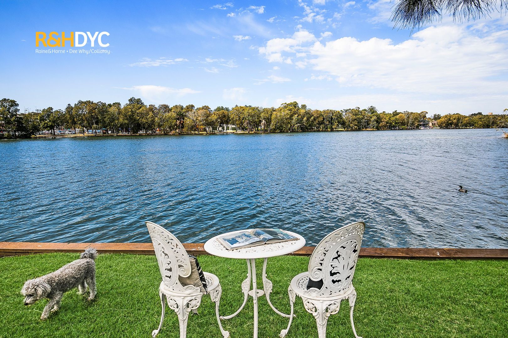 Property Report for 49 Wimbledon Avenue, North Narrabeen ...