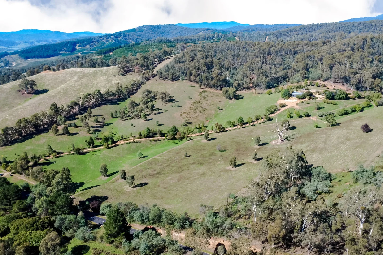 Additional image 35 of 3852 Jingellic Road, Lankeys Creek NSW 2644