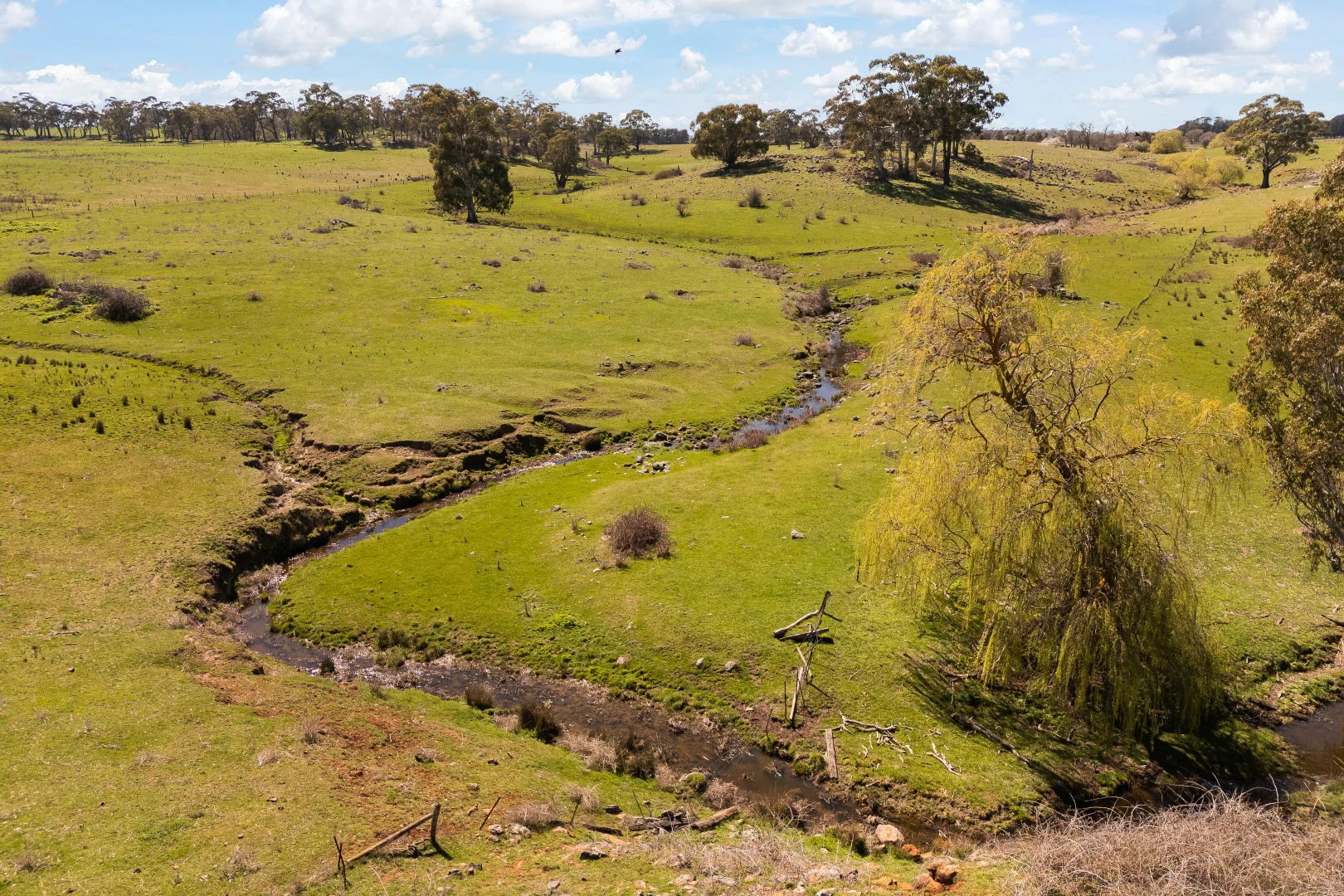 Additional image 21 of Millthorpe NSW 2798