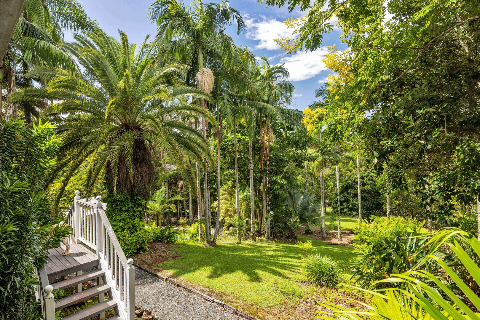 Additional image 18 of 98 Andersons Road, Yandina QLD 4561