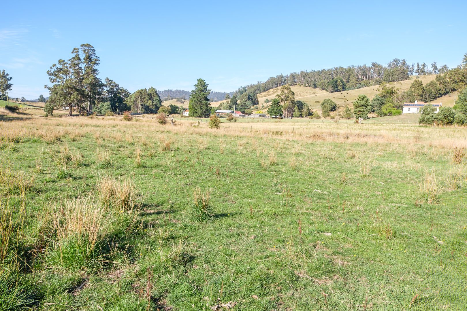 Lot 1 Slab Rd, Cygnet TAS 7112, Image 2