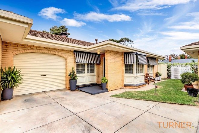 Picture of 3/17 Orange Grove, KENSINGTON PARK SA 5068