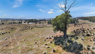 Picture of 612 Lower Bendoc Road, BENDOC VIC 3888