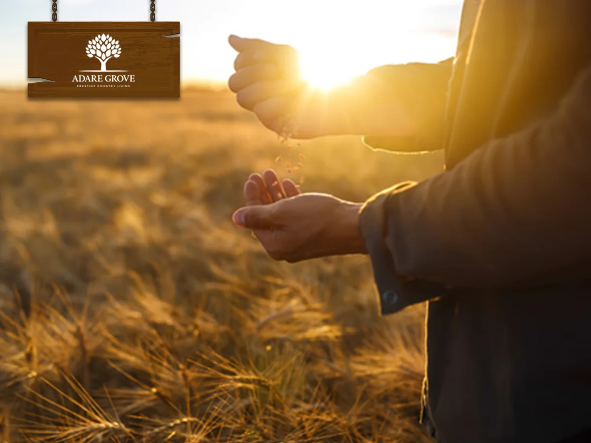 Additional image 28 of Lot 46 Maragon Court, Lake Clarendon QLD 4343