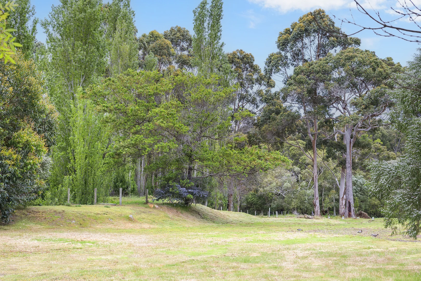 Additional image 7 of PL 241/29 Eucalyptus Court, Margaret River WA 6285