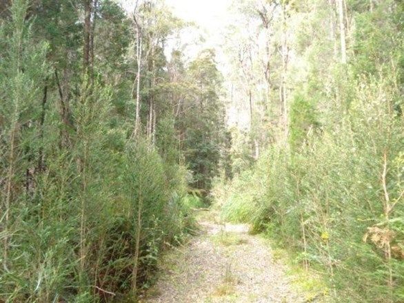 Lot 2 Trafford Street, Strahan TAS 7468, Image 0