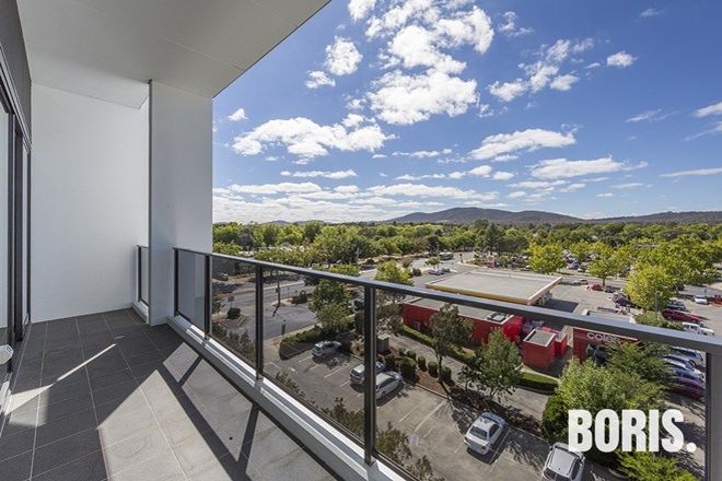 53 3 Bedroom Apartments For Rent In Canberra Act Domain