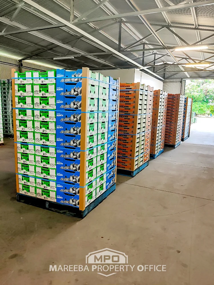 Additional image 11 of 44 Carman Road, Paddy's Green, Mareeba QLD 4880