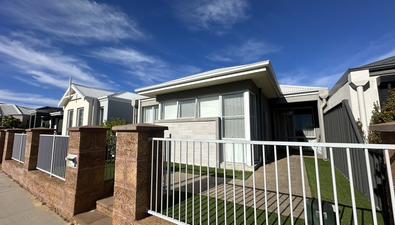 Picture of 39 Sessilis Road, BANKSIA GROVE WA 6031