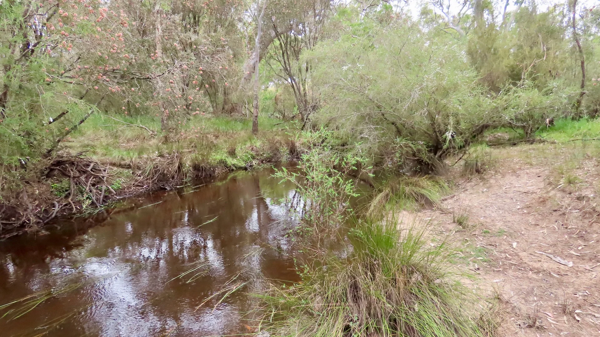 Additional image 6 of 596 Mostyn Lane, Balmoral VIC 3407