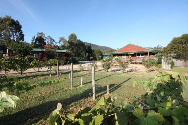 Picture of 11 Turnbull Road, BULGA NSW 2330